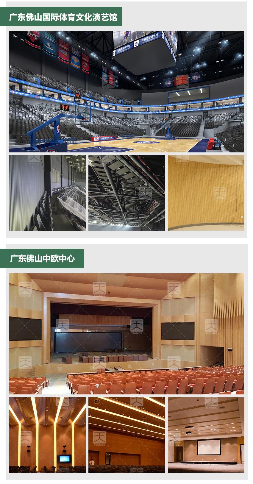 剧院槽木吸音板会议厅工程案例