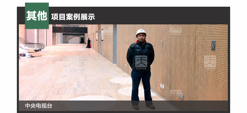 体育馆孔木吸音板工程案例
