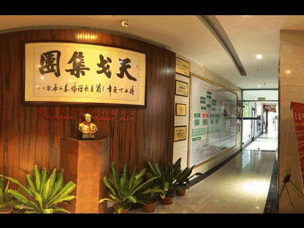 天戈集团 天戈集团